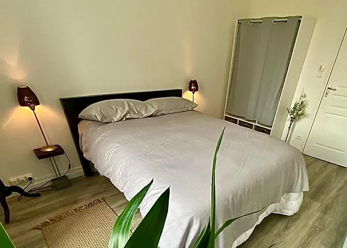 Appartement T3 Center